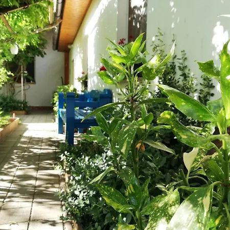 Πανσιόν Molnarkerti Pihenopark Zakanyszek
