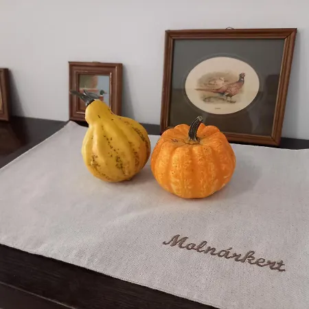 Guest house Molnarkerti Pihenopark